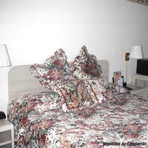 Travelers Inn And Suites South Lake Tahoe Cameră foto